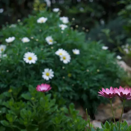 Holiday home Kostas House *